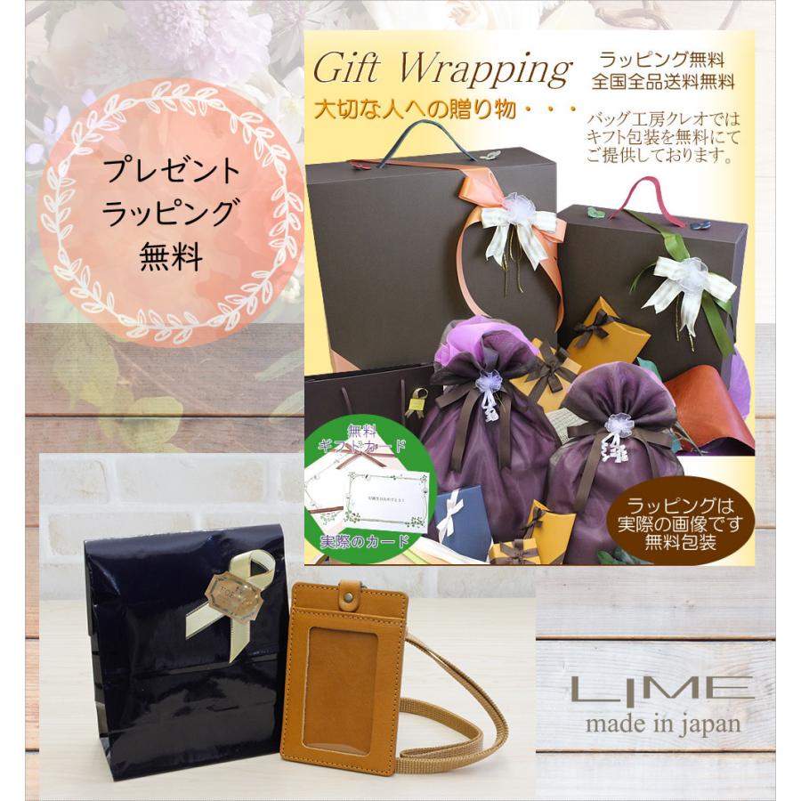 レディーガガ VIPグッズ バッグ、カード、ラミネートパス 3点 LADY