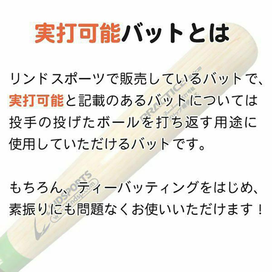 LINDSPORTS（リンドスポーツ） 炭化竹バット 硬式 練習用 プラクティス