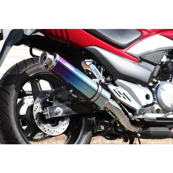 REALIZE（リアライズ） Realize GSR250 バイクマフラー JBK-GJ55D 2012