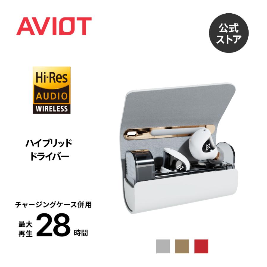 AVIOT AVIOT TE-J1 ワイヤレスイヤホン ハイブリッドノイズキャンセ