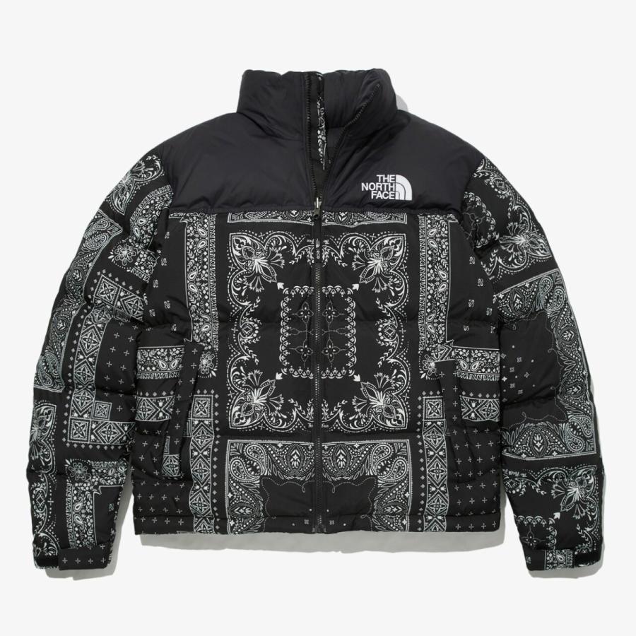 THE NORTH FACE（ザ ノースフェイス） ノースフェイス ダウン 1996