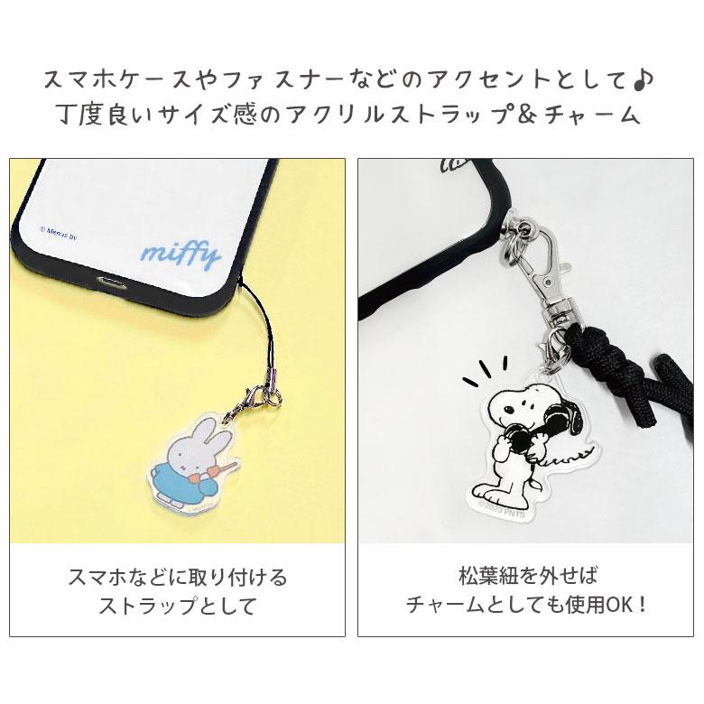 アクリルストラップ ポケットモンスター アクリルチャーム poke-885