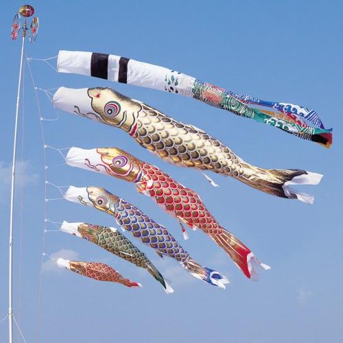 ワタナベ鯉のぼり こいのぼり 錦鯉 ワタナベ 鯉のぼり 黄金 5m 8点 鯉5