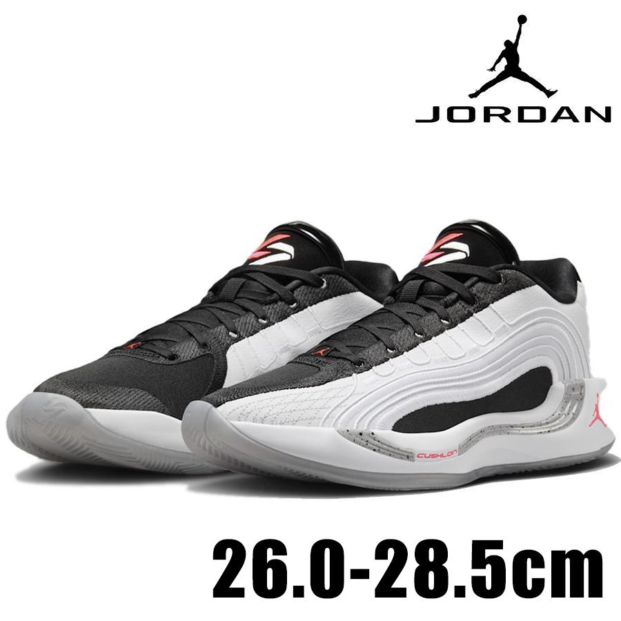 Jordan NIKE JORDAN LUKA 4 PF White Cement HF0824 101 メンズ