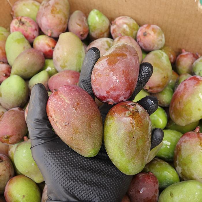 青マンゴー5kg （未熟で酸っぱいマンゴー）摘果マンゴー マムアン