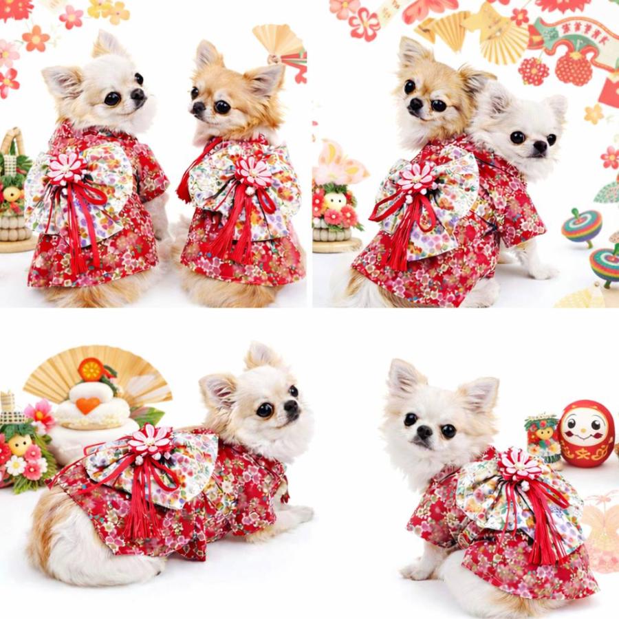 着物 犬 お正月 犬服 きもの 記念撮影 帯 花柄 可愛い 小型犬 赤い着物