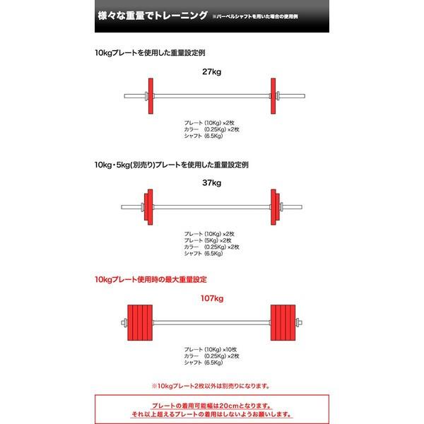 バーベル 用 プレート 10kg 2個セット ブラックアイアン + ラバー