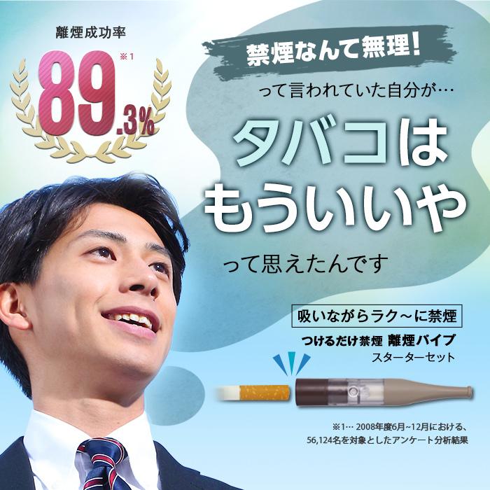 Rien pipe 離煙パイプ GR/GS 31本セット 禁煙グッズ 簡単禁煙 減煙