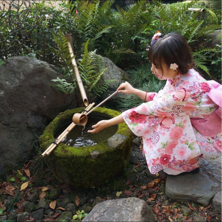 浴衣 レディース 花柄 菊 桜 浴衣セット ピンク セット 大きサイズ