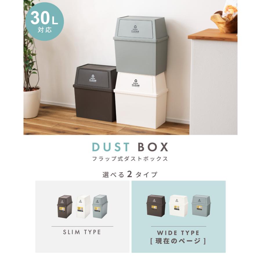東谷 ゴミ箱 30リットル おしゃれ 分別 ごみ箱 屋外 ダストボックス 蓋