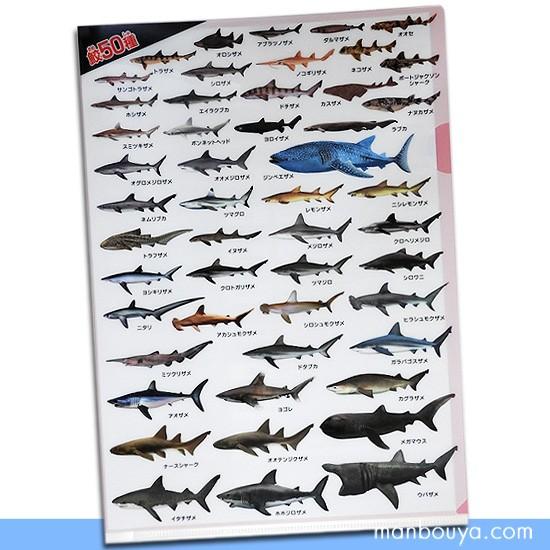 A4 クリアファイル サメ グッズ おもしろ文房具 鮫の図鑑 鮫大全