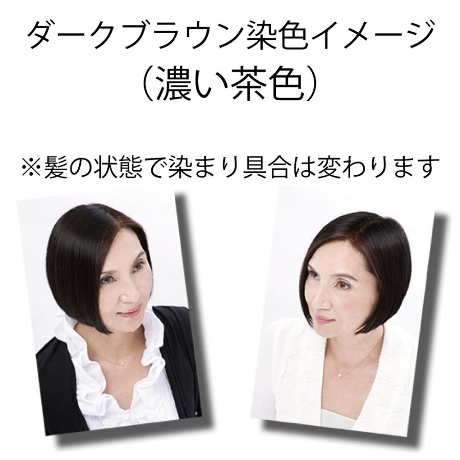 白髪染め ヘアカラーリングクリーム カラートリートメント ダーク