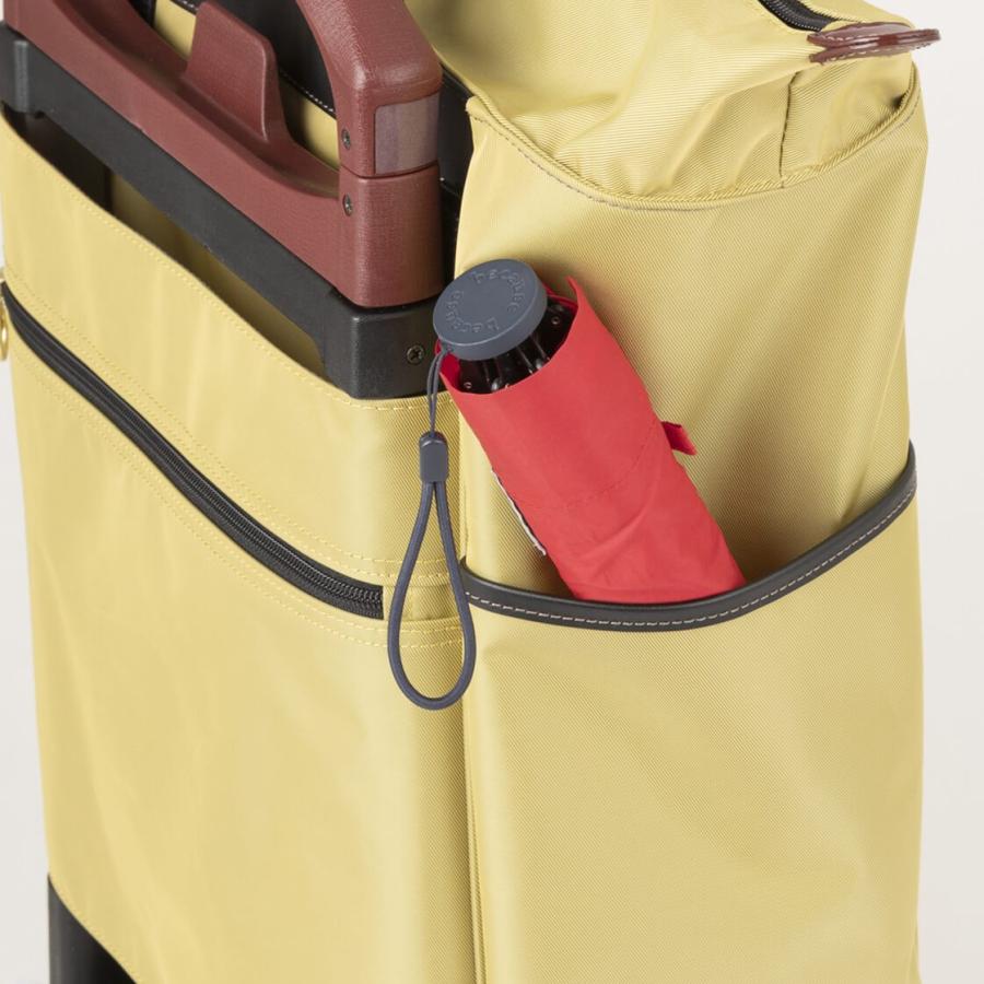 Ace（エース） ACE soelte ソエルテ アルディート 20リットルキャリー