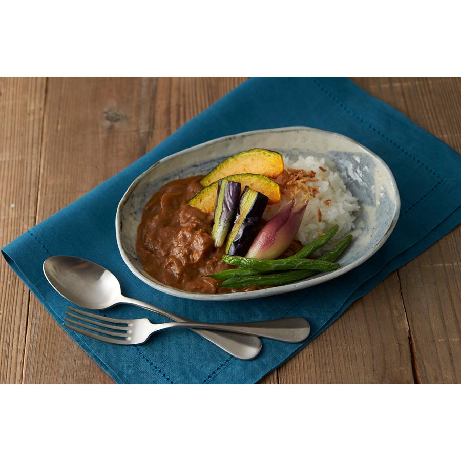 TAMAKI お皿 おしゃれ 食器 和食器 オーバル パスタ カフェ風 かわいい