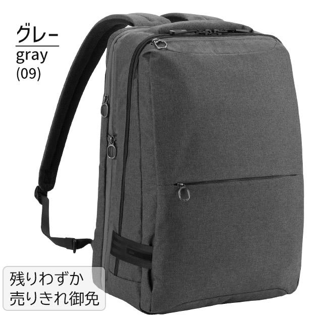 ace. GENE LABEL エースジーン リュックサック 22〜24リットル ホバー