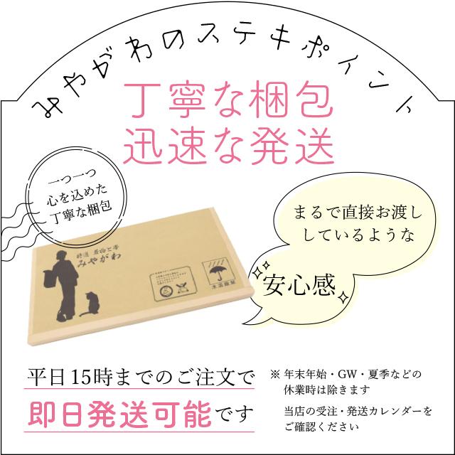 江戸小紋 訪問着 袷 着物 伝統工芸士 染谷梅治 作家物 黒 さが美 扱い