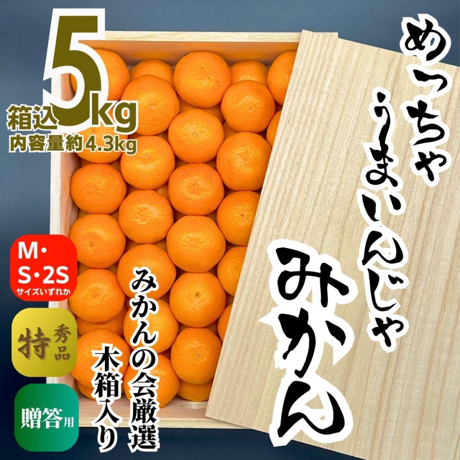 みかん めっちゃうまいんじゃ 木箱入 箱込約5kg（内容量4.3kg） みかん