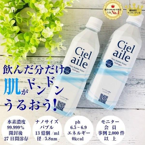 水 水素水 500ml 6本入 ナノバブル 国内 ミネラルウォーター シェル
