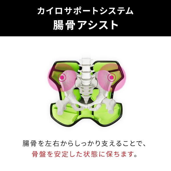 Style（スタイル） 座椅子 椅子 アスリートツー Style Athlete II 猫背