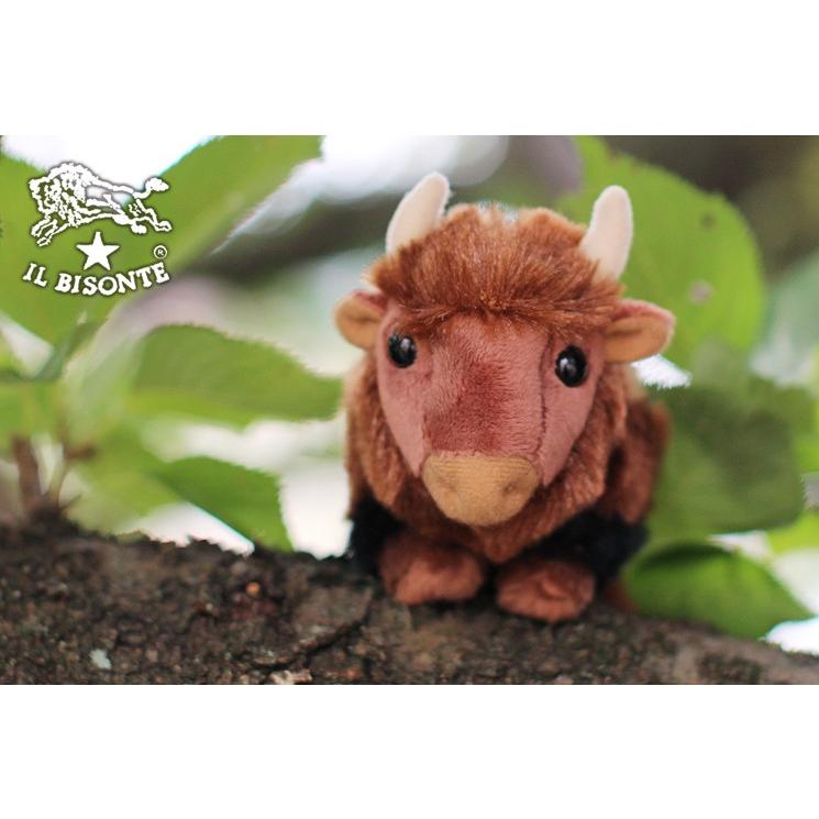 IL BISONTE（イルビゾンテ） 雑貨小物 バッファロードール(ぬいぐるみ