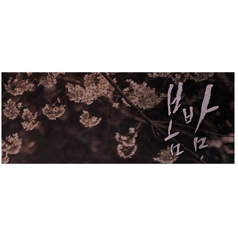 韓国音楽CD ドラマ 『春の夜（ある春の夜に） O.S.T』 （CD+フォト