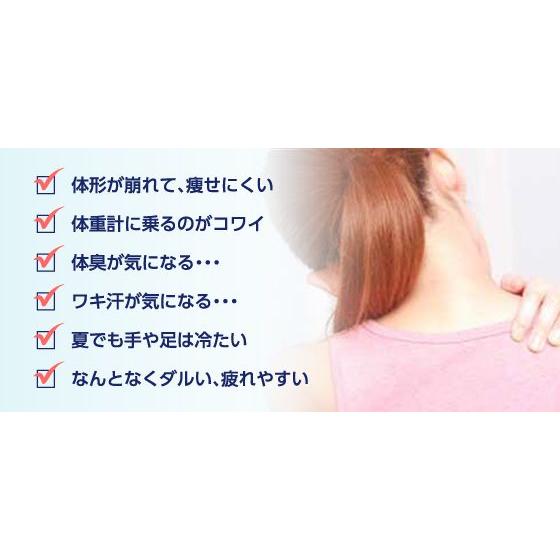 ゲルマニウム温浴器 日本製 自宅用 浴槽用 健康 ダイエット 入れるだけ