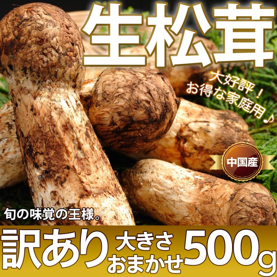 生松茸 訳あり 約500g＜開き方・大きさおまかせ＞空輸 中国産 厳選