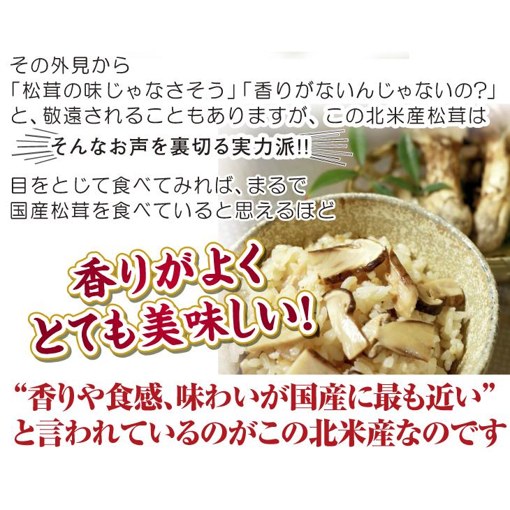 松茸 約150g 北米産 冷蔵便 送料無料 食品 : 食みらい・国華園 - 通販