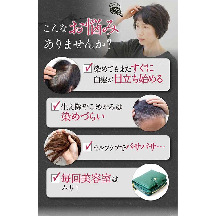 ヘアリシェ ナチュラルエアリーカラー ダークブラウン HAIRICHE 公式