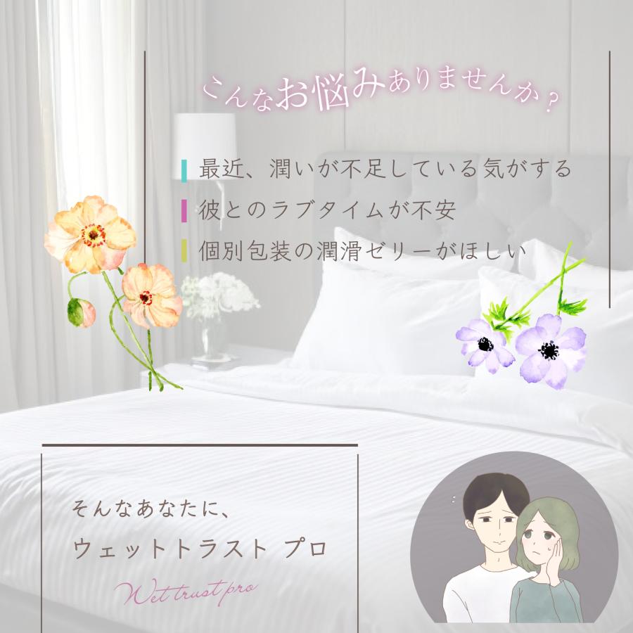 ハナミスイ（hanamisui） 潤滑剤 ウェットトラストプロ 120本セット