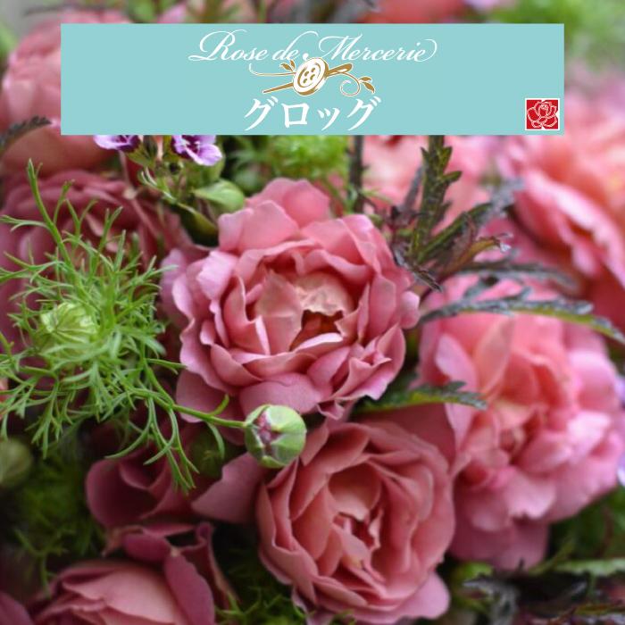 送料無料 グロッグ 新苗4号鉢 鉢植え バラ 薔薇 河本バラ園 メルスリー