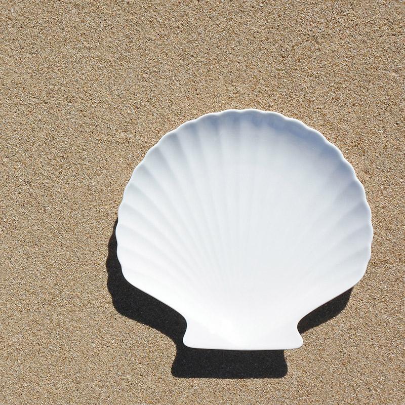 お皿 貝殻の形の大皿 おしゃれ 可愛い 北欧風 シルキーウェーブ シェル
