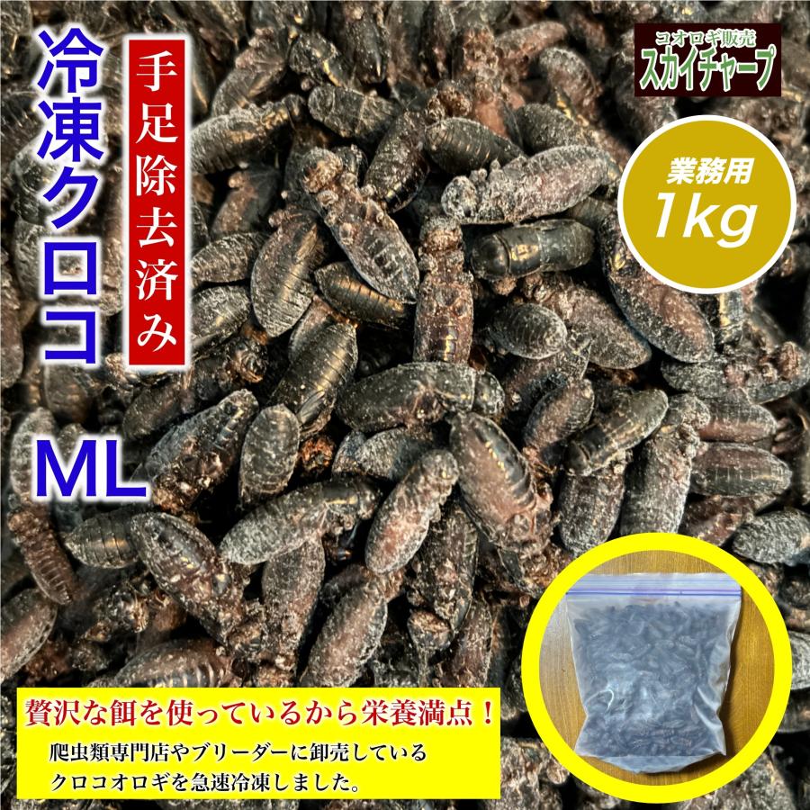 冷凍クロコML,1kg) 冷凍コオロギ イエコ クロコ ミックス 餌 増量 送料