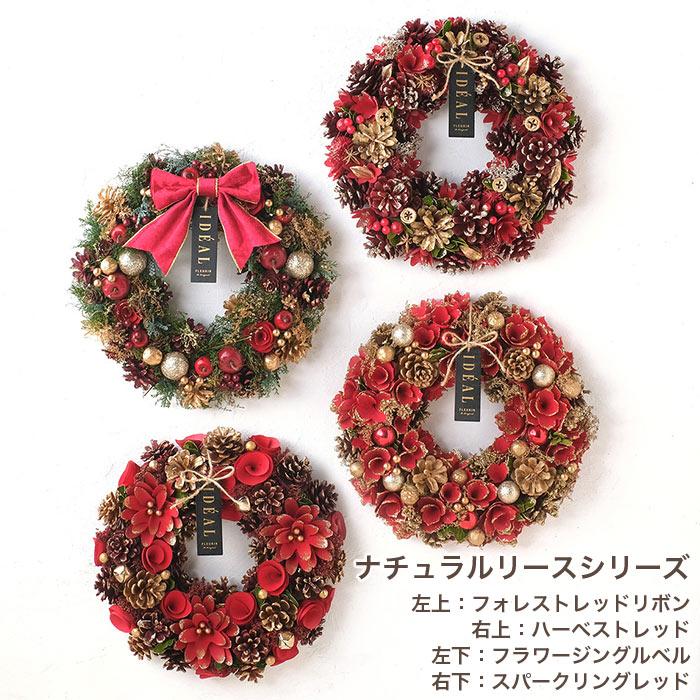 リース フラワーリース 冬 クリスマス CMナチュラルリース L レッド