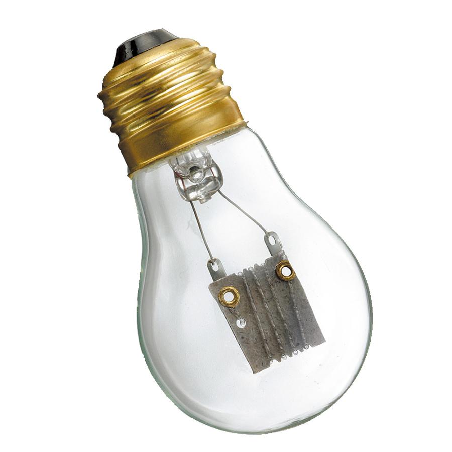 マルカン MARUKAN 保温電球 20W（交換球）マルカン ペットヒーター 鳥