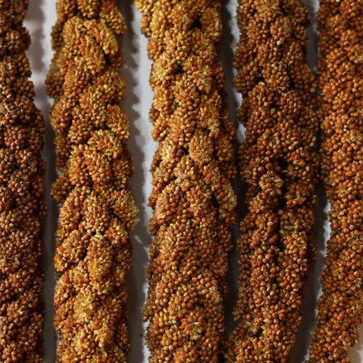 黒瀬ペットフード 【農薬不使用】自然派宣言 フランス産 赤粟の穂（赤