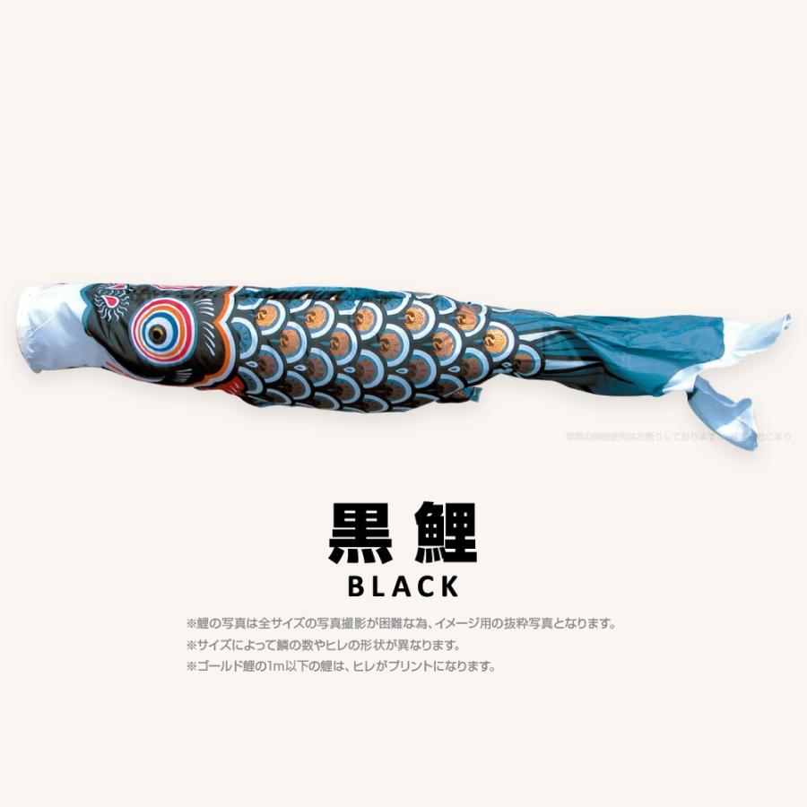 こいのぼり 単品 ゴールド鯉 5m 単品鯉 黒 赤 青 緑 橙 : 節句&ギフト