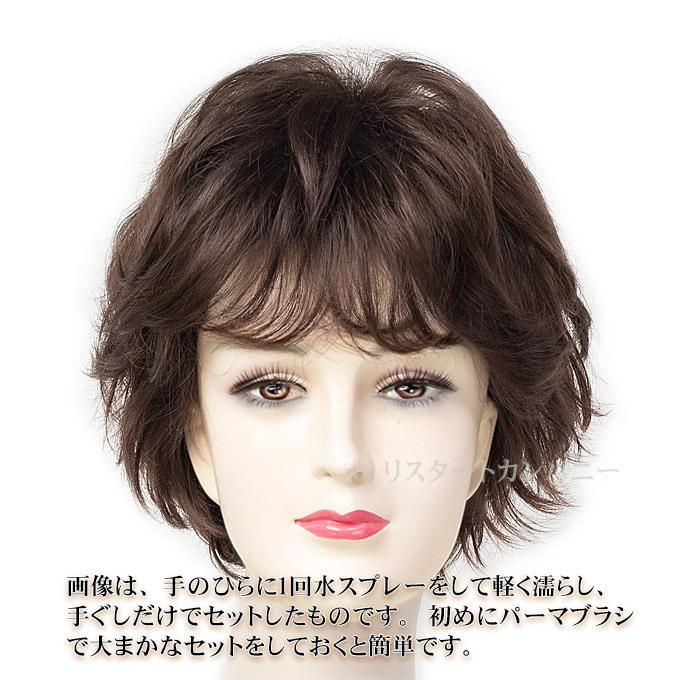 ウィッグ ショート 自然 かんたん整髪 フルウィッグ ミセス 医療用