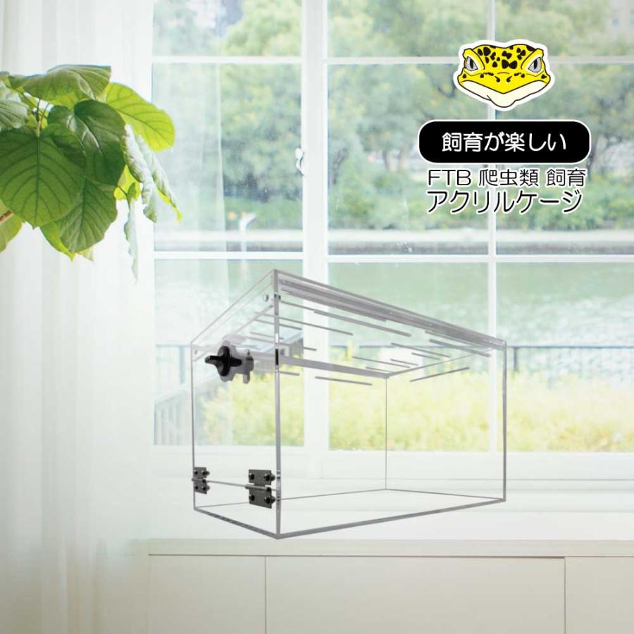 日本製 爬虫類アクリルケージ ヒョウモントカゲモドキ レオパード