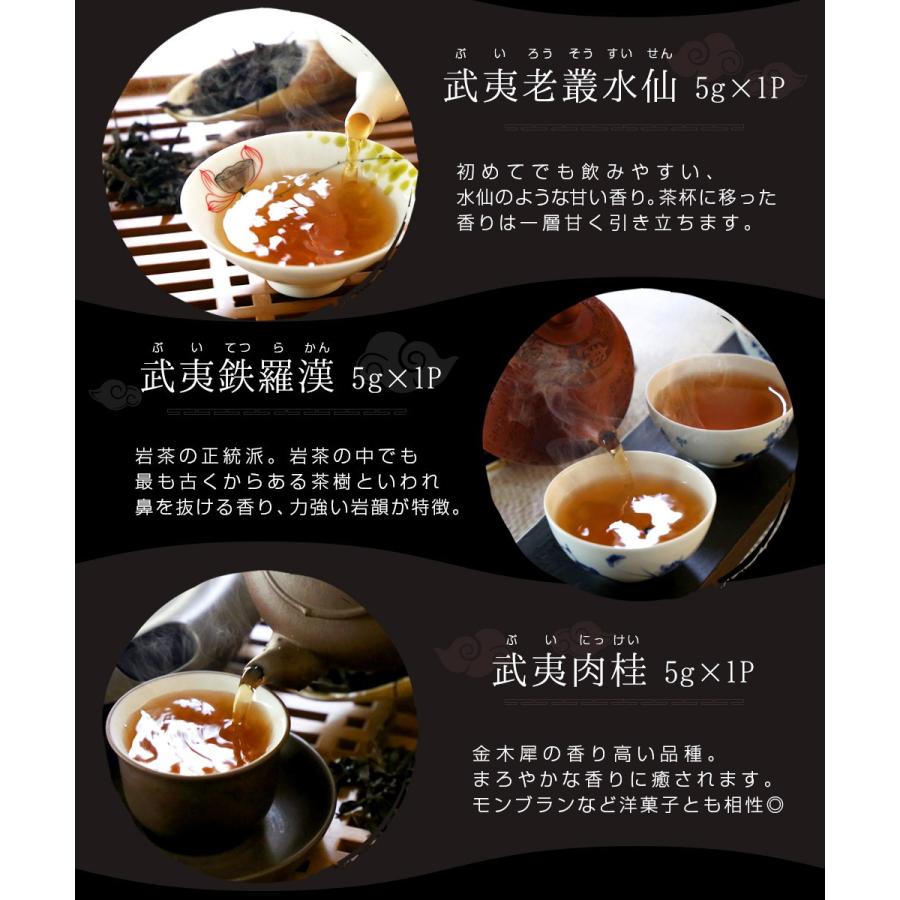 ギフト 烏龍茶 高級 武威岩茶 6種類飲み比べセット お試し 大紅袍 白