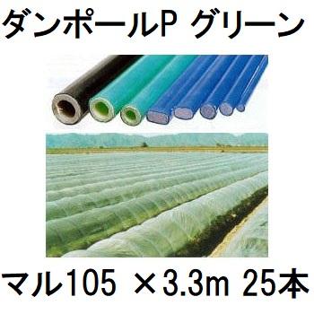 25本セット) ダンポールP マル105 ×3.3m 緑 トンネル幅170cm トンネル