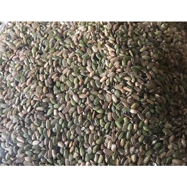 くず米 ( 鳥のエサ ) 玄米 950g 送料無料 ポイント消化 : たかちゃん