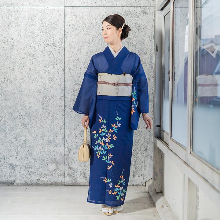 レンタル 夏用 絽 訪問着 フルセット 高級 ROHO-089 秋草 結婚式 列席