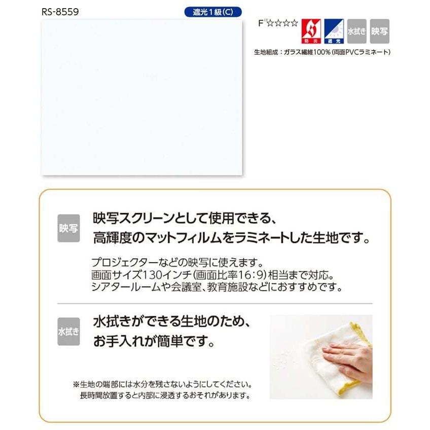 プロジェクタースクリーン プロジェクター用 映写 ロールスクリーン