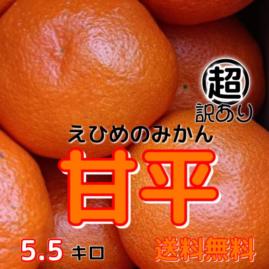超訳あり 甘平 5.5キロ 不揃い 愛媛 かんぺいカンペイ 八幡浜西宇和