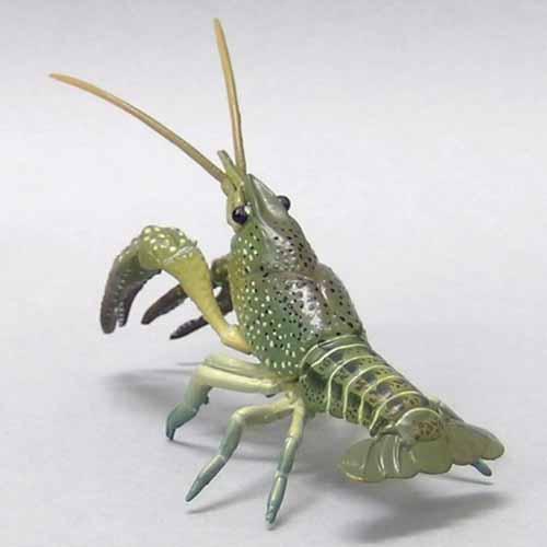 ユージン シークレット アメリカザリガニ脱皮直後 原色甲殻類エビ