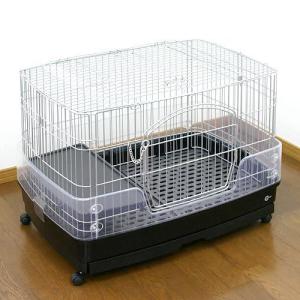 GEX クリアフロント80 : 熱帯魚通販のネオス - 通販 - Yahoo!ショッピング