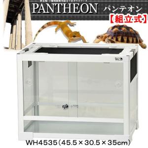 GEX エキゾテラ グラステラリウム PRO 6030 爬虫類 トカゲ