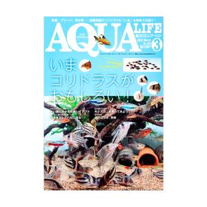 アロワナライブ 2025 vol．012 書籍 アロワナ : チャーム