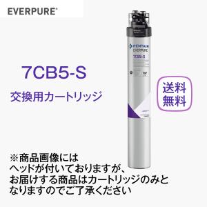 エバーピュア 4CB5-S 浄水器カートリッジ 業務用 : 厨房 キッチン